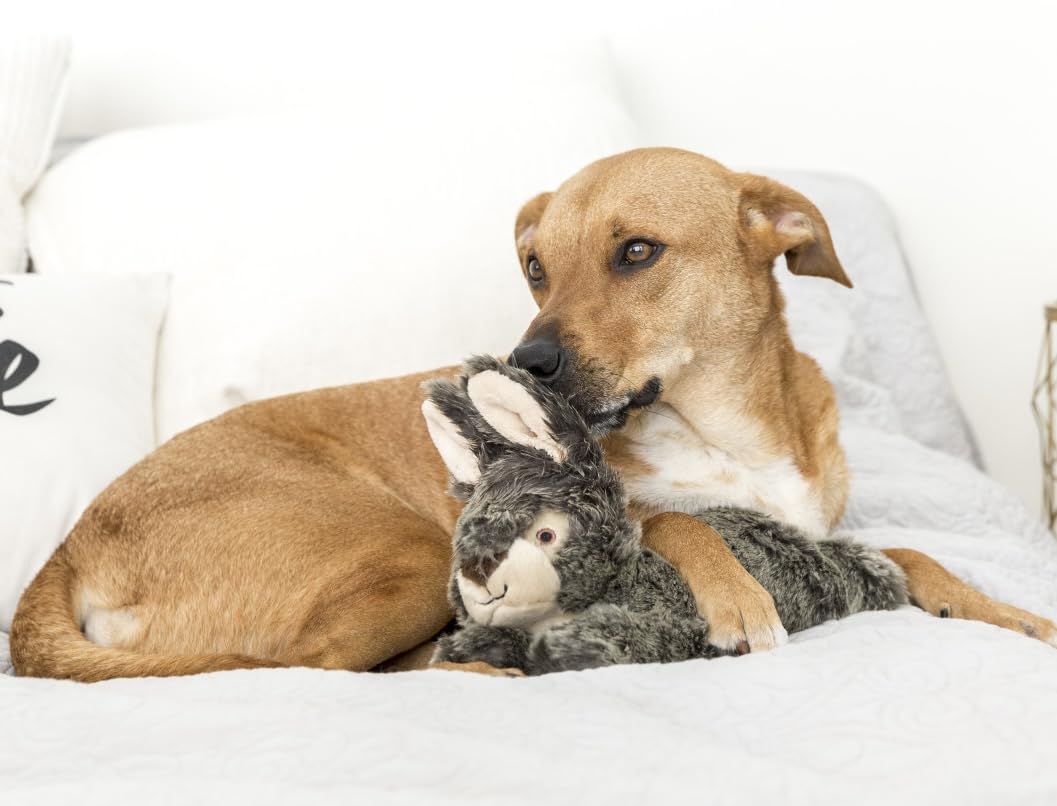 Fluff & Tuff Walter Wabbit Hundespielzeug aus Plüsch, 2 Stück, 30,5 cm, langlebig, gefülltes Kaninchen-Hundespielzeug mit Quietscher, doppelt genäht und ungiftig, weicher und dennoch robuster Plüsch