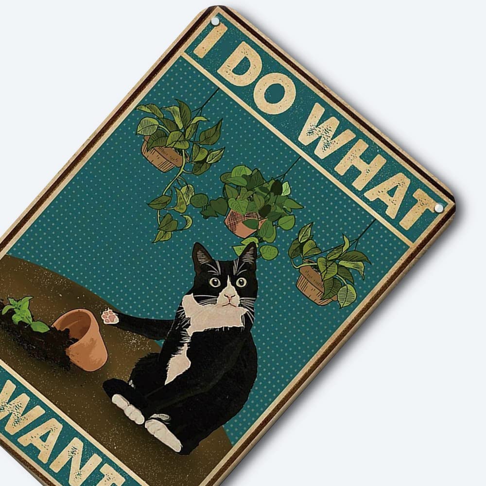 Divertente targa in metallo con gatto nero, I Do What I want, divertente poster in metallo da parete per bagno, giardino, decorazione per la casa, bagno, camera da letto, bar, 30 x