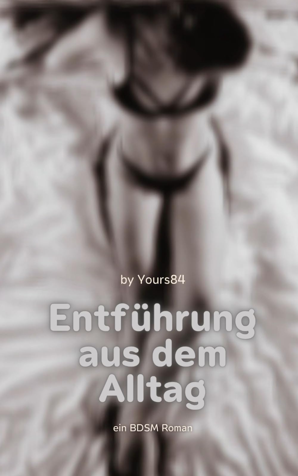 Entführung aus dem Alltag: ein BDSM Roman