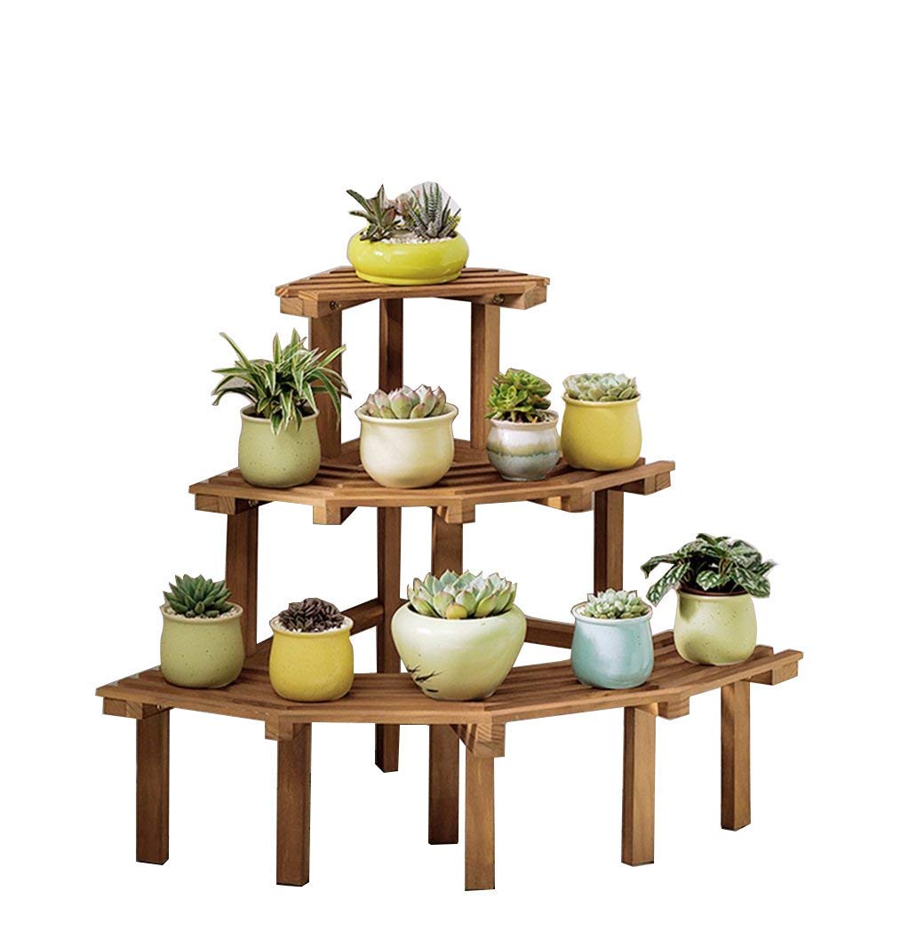Présentoir de plantes de jardin en bois noble avec support de pots d'angle