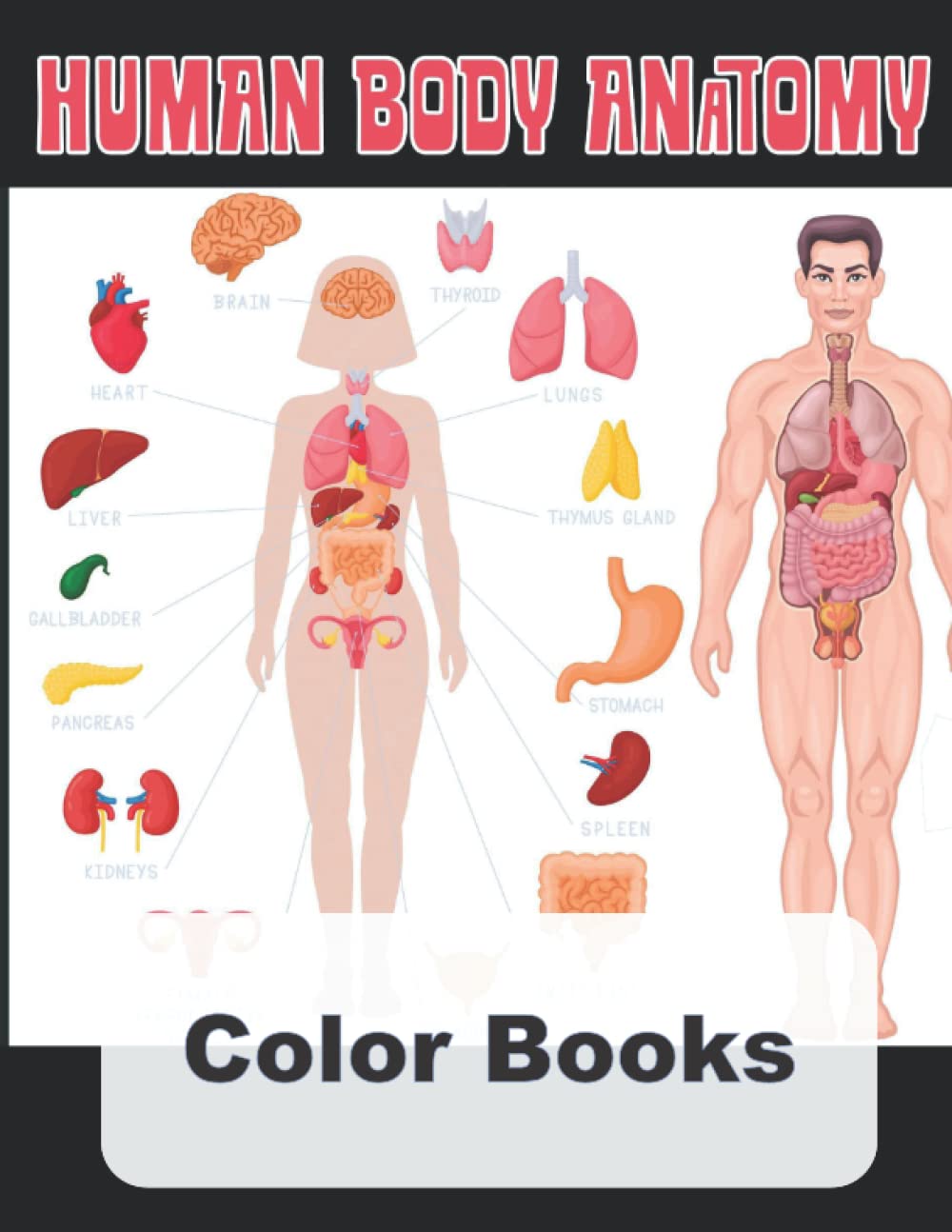Human body anatomy Color Books: Anatomy Study Guide, Anatomy and ...
