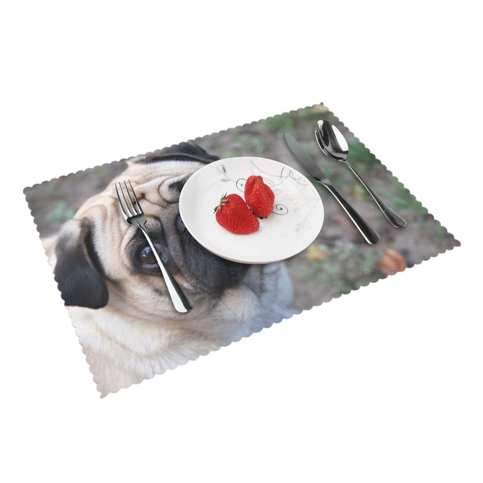 Pug dog Printed Placemats Set of 4 PCS Washable Placemat for Kitchen Table Heat-resistant Table Mats 45x30 CM