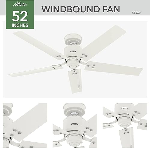 Miniatura 3 de Hunter Ventilador de techo de transición de 52 pulgadas de color blanco mate para interiores y exteriores y cadena de tracción