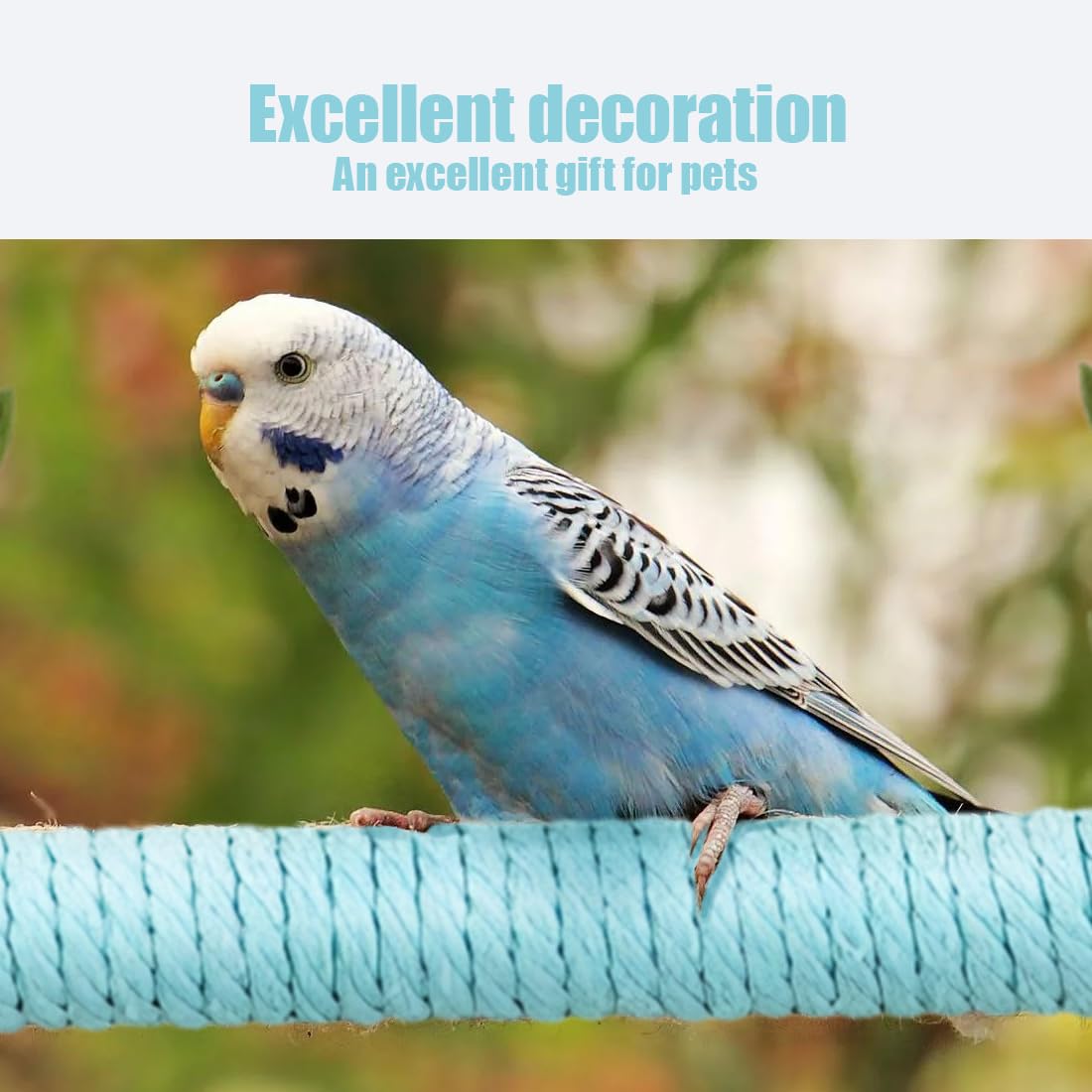 Altalena per Uccelli Giocattolo di Uccelli in Legno,Trespolo per Pappagalli,Altalena per Uccelli in Legno Naturale,Giocattolo Altalena per Uccelli,Giocattoli da Appendere in Gabbia(Blu)