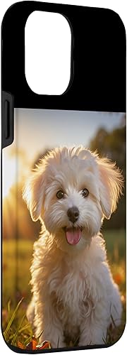 Miniatura 3 de iPhone 13 Pro Max Lindo Bichon Frise Perro Sentado En La Puesta De Sol Fotografía Caso