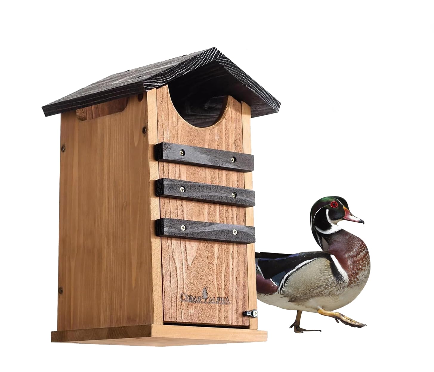 Large Heavy Carbonized Cedar Squirrel House, Screech Barn Owl Box, Duck Nesting Shelter, Cedar Bird House for Outside, Rustic Big Birdhouse,Nesting Box, Squirrel Shelter Nester Assemble Needed