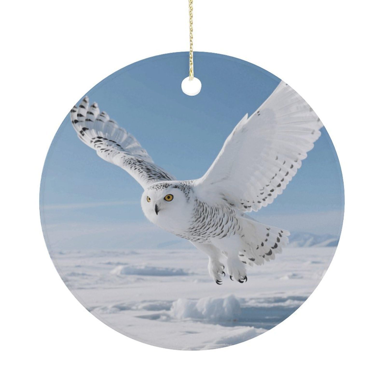 Personalized Christmas Ornaments 2025 Ceramic Hanging White Snowy Owl Ornaments with Gold String Double-Sided Vintage Holiday Decorations for Tree Mantel Tabletop Xmas Party Favors