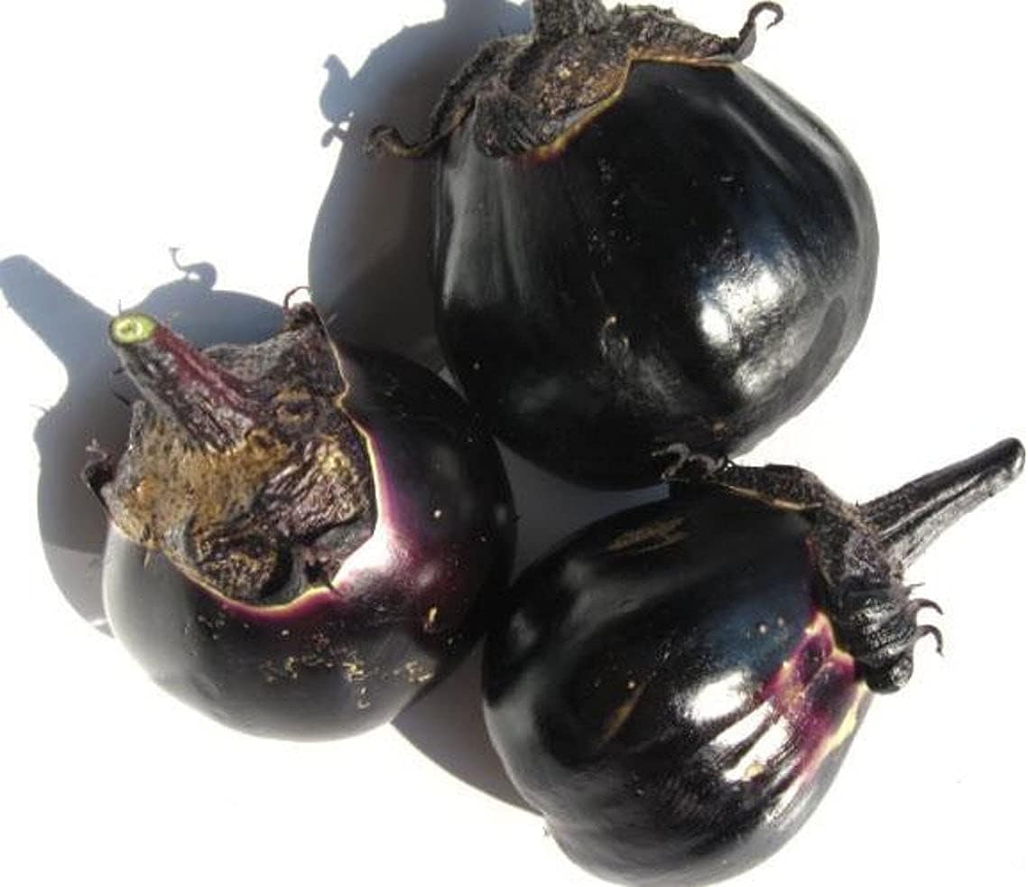 Eggplant Seeds (PKD) Solanum Melongena (Mitoyo Nasu, 30 Seeds)