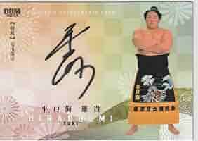 若隆景 直筆サインカード BBM 2023 大相撲カード 絆 Amazon.co