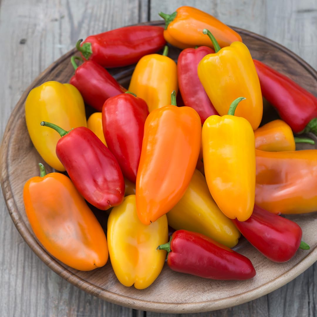 PREMIER SEEDS DIRECT - Sweet Pepper - Snack BITE Mix (Bulk)