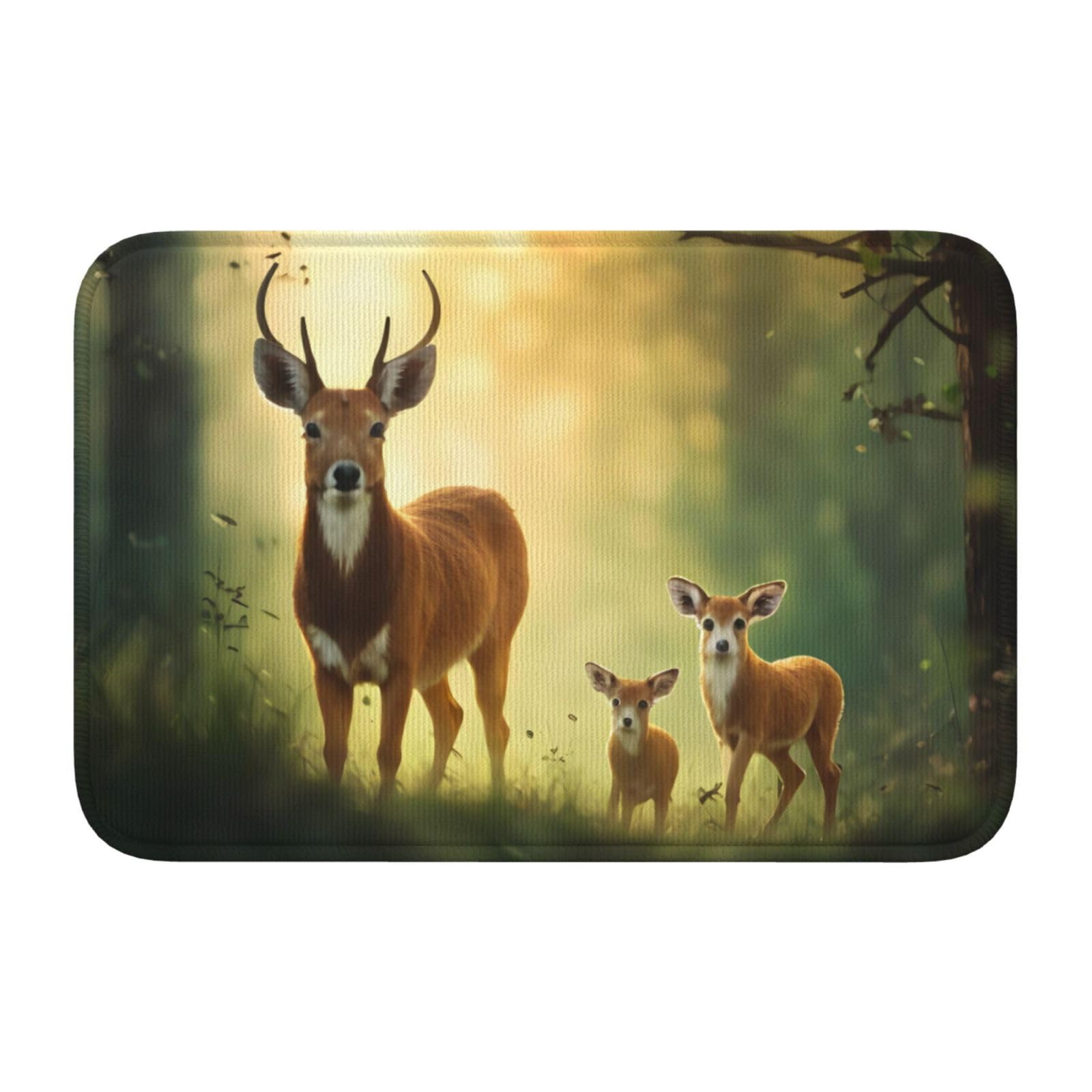 Tapis antidérapant 40x60 cm pour éliminer la saleté de l'entrée facilement