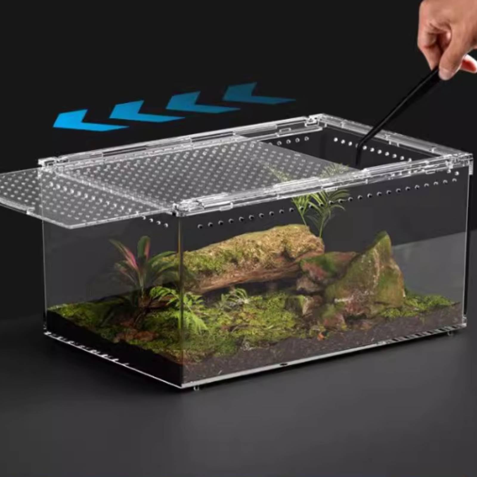 Terrario in Acrilico per Rettili Piccoli Animali Trasparente con Aerazione Continua Coperchio Comodo Adatto a Allevamento Domestico Scrivania Scaffale Tavolino, 30 20 15