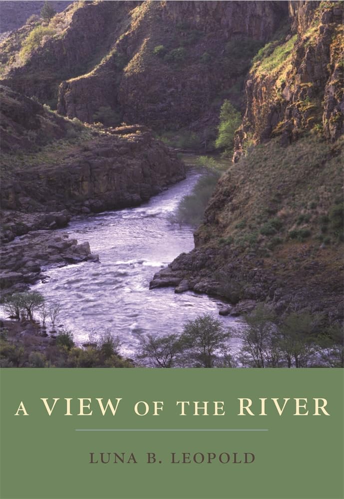 A View of the River Paperback – February 28, 2006