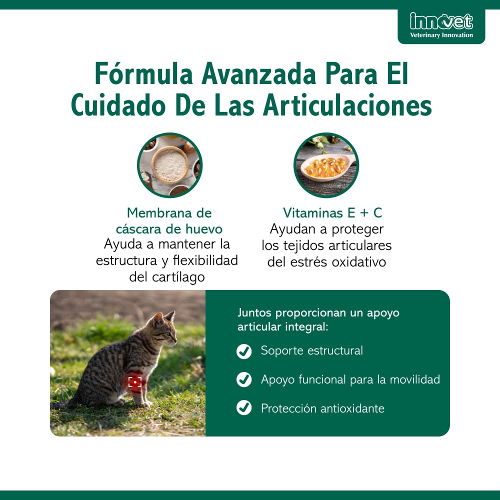 Innovet Condrostress (+) Cat, para gatos adultos y ancianos con rigidez articular, contra la osteoartritis, preserva la capacidad de movimiento, neutraliza los radicales libres, paquete de 30 cápsulas