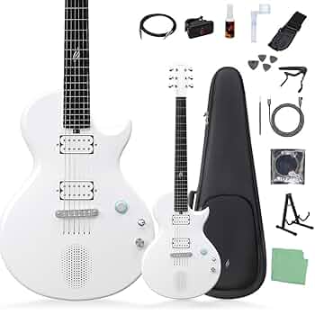 SYNSONICS エレキギター アンプ内蔵 難あり 2990円で購入したアンプ内蔵エレキギター(synsonics) | 蜂坊主の