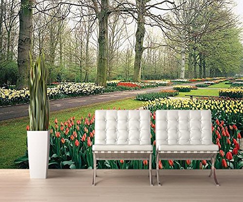 Huge Photo Wall Mural 12 Feet 6 Inch Wide X 9 Feet High Covers an Entire Wall! Tropical Beaches, Waterfalls, Mountains, Nature (Tulips Garden Netherlands Wall Mural)