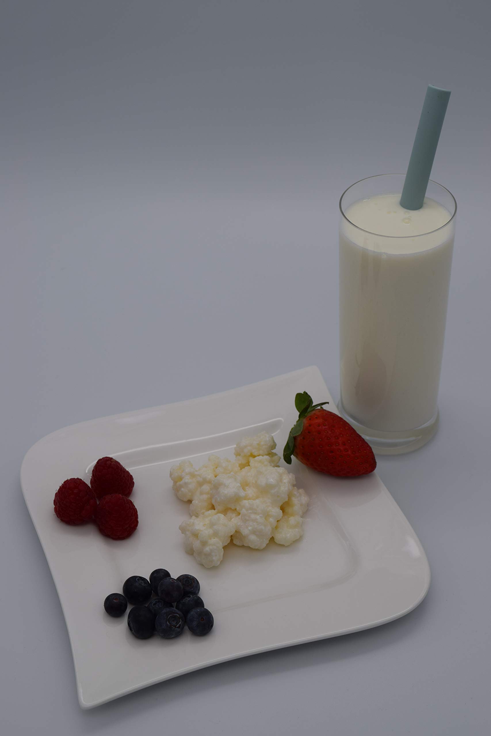 Milchkefir Starterset groß, Kefirknollen aktiv und vital