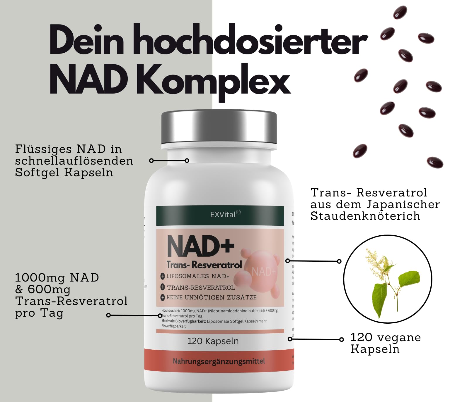 EXVital® NAD+, 1000mg NAD+ & 600mg Trans-Resveratrol pro Tag- 120 vegane Softgels - liposomal & maximale Bioverfügbarkeit, hochdosiert & laborgeprüft