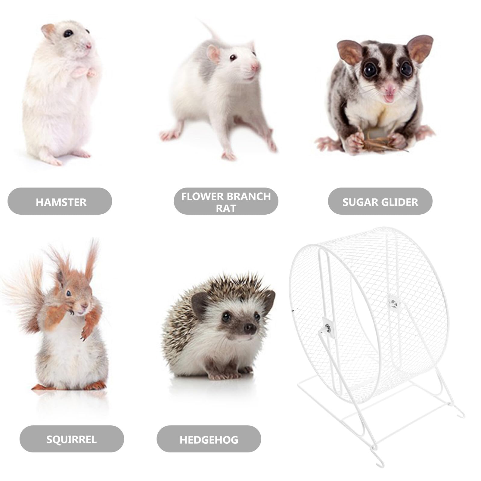 WOONEKY Ruota Silenziosa per Criceti Metallo per Esercizi per Gerbilli Topi Cincillà e Ratti Cuscinetti per Correre senza Rumore per Piccoli Animali Domestici