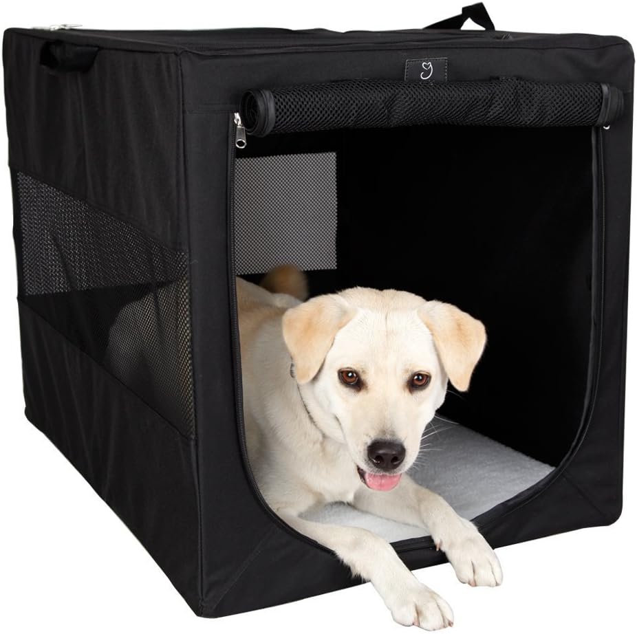 a4 pet carrier