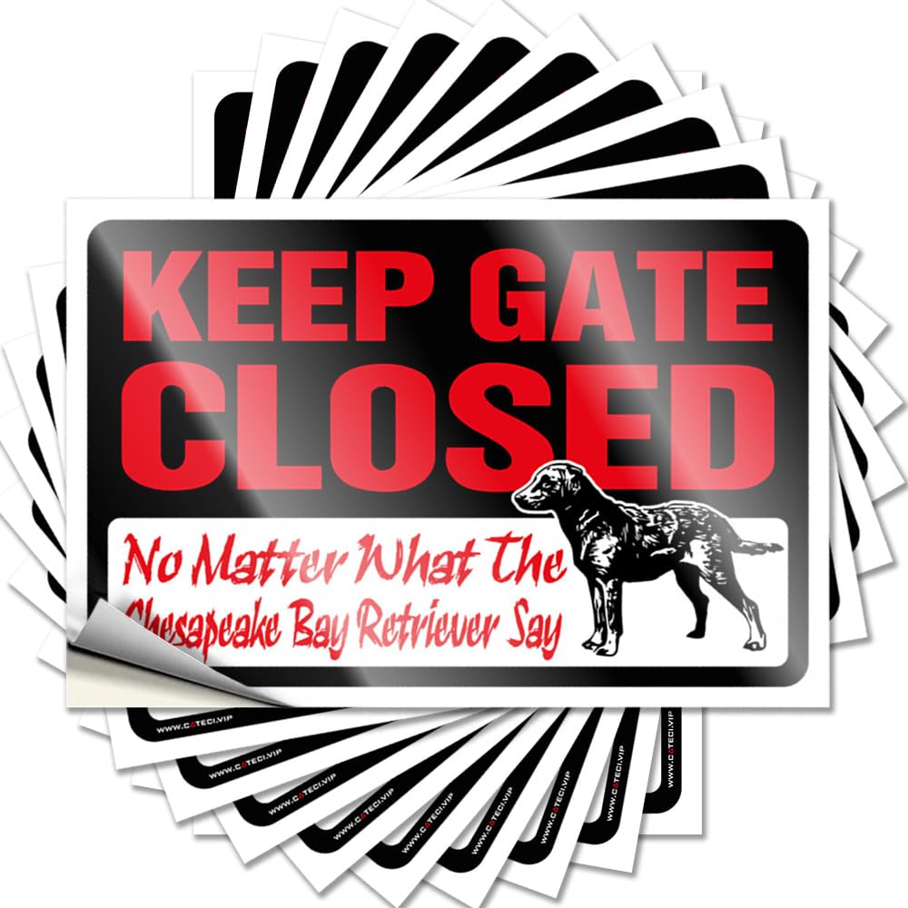 Rubber, Bumper Darts Garage Keep Gate Closed No Matter What The Chesapeake Bay Retriever Say | Cool Waterproof Vinyl Stickers(8X12CM)
