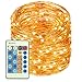 LED Copper Wire Lights 99ft/30m 300 LED Light String Dimmable with Remote Control， Waterproof Starry Lights for DIY Bedroom， Outdoor, Garden, Party, Wedding, Patio, Fairy Tale (Warm White)