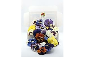 Edible Pansy: Food Grade Freeze-Dried Edible Flower Garnish