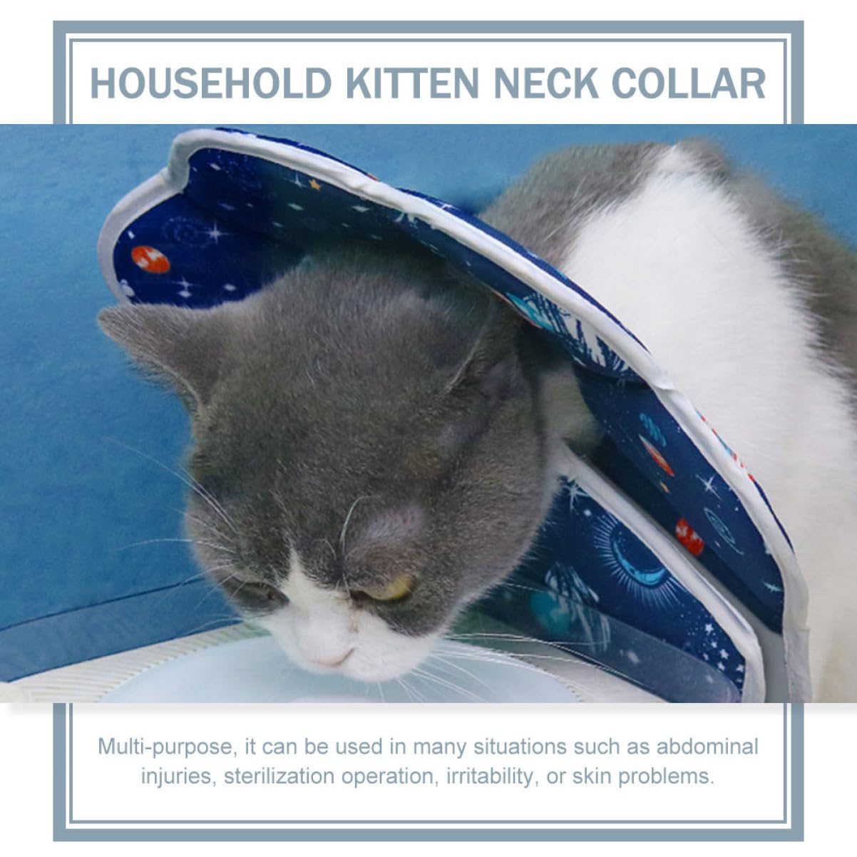 Didiseaon 5pezzi Collare Elisabettiano Per Animali Domestici Protezione Post-operatoria Per Gatti e Cani Previene Leccate e Grattate Design Comodo e Facile Da Collare Protettivo Per Ferite e