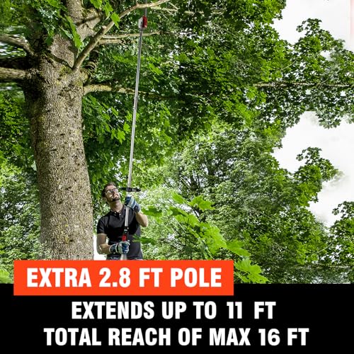 58CC Gas Pole Saw with 11.5