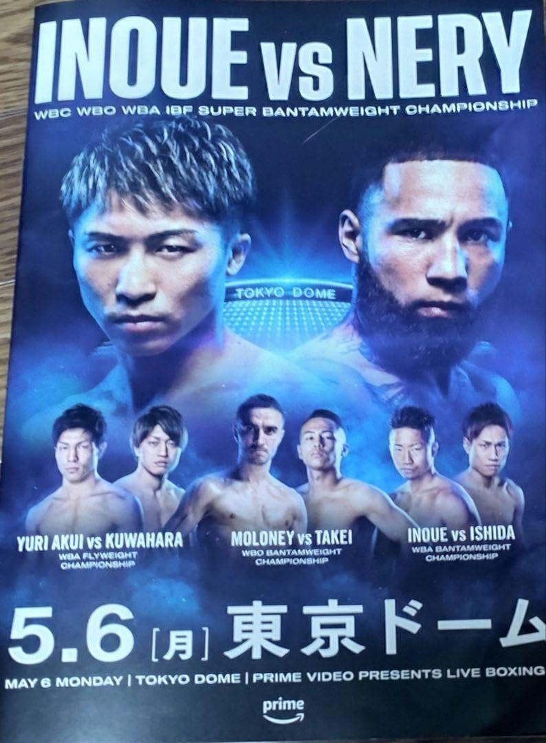 井上尚弥パンフレット 719WowadIuL._UF350,350_QL50_.jpg
