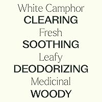 Vista 4 de Plant Therapy Aceite esencial de alcanfor blanco 1.0 fl oz (1 oz) 100% puro, sin diluir, apoya la salud respiratoria