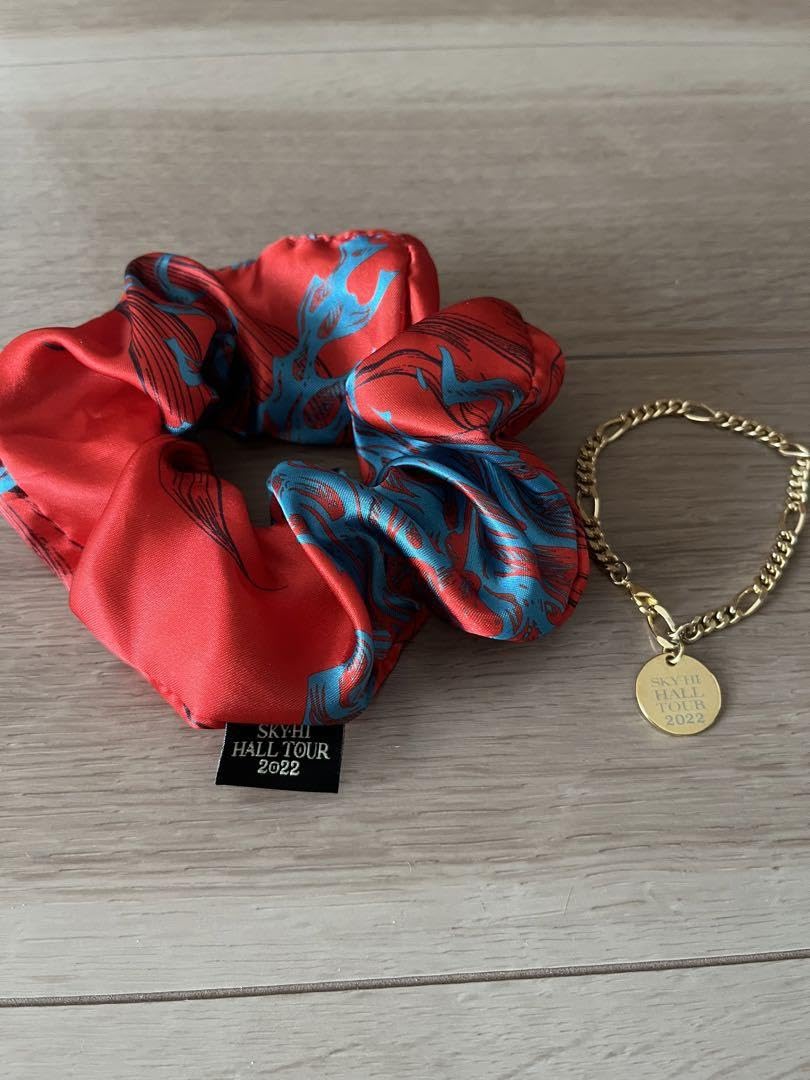 Amazon.co.jp: SKY-HI スカイハイ ツアーグッズ シュシュ コインチャーム : おもちゃ