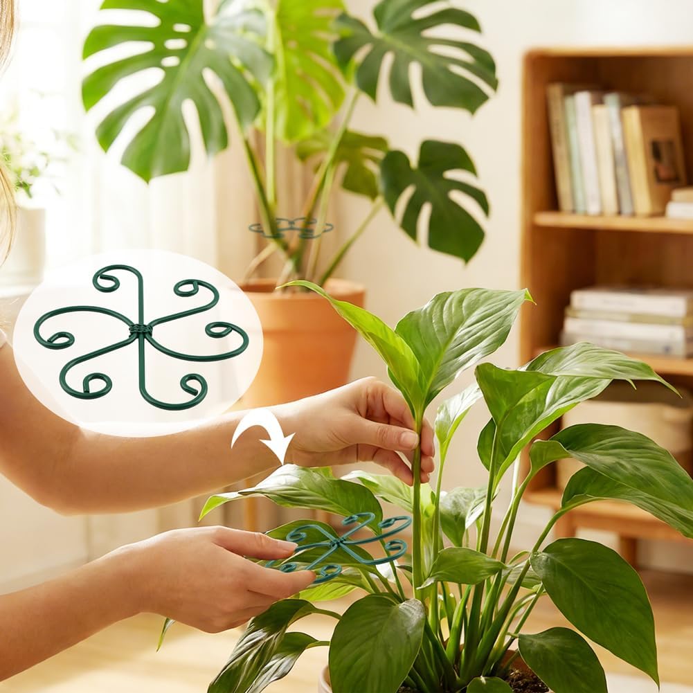 4PCS Iron Monstera Support, Plant Stem Support Uniquely Designed Plant Support Stakes for Indoor Plants, Stable Plant Stakes and Supports, Turtle Shell Bamboo Clamp Set for Thriving Growth image 4