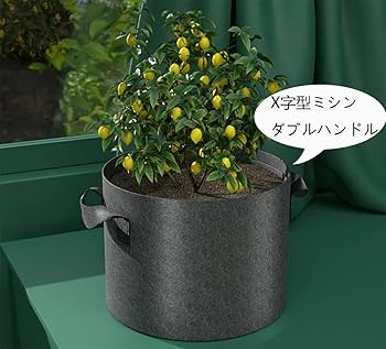 Amazon.co.jp: 不織布ポット10ガロン不織布プランター 植え袋
