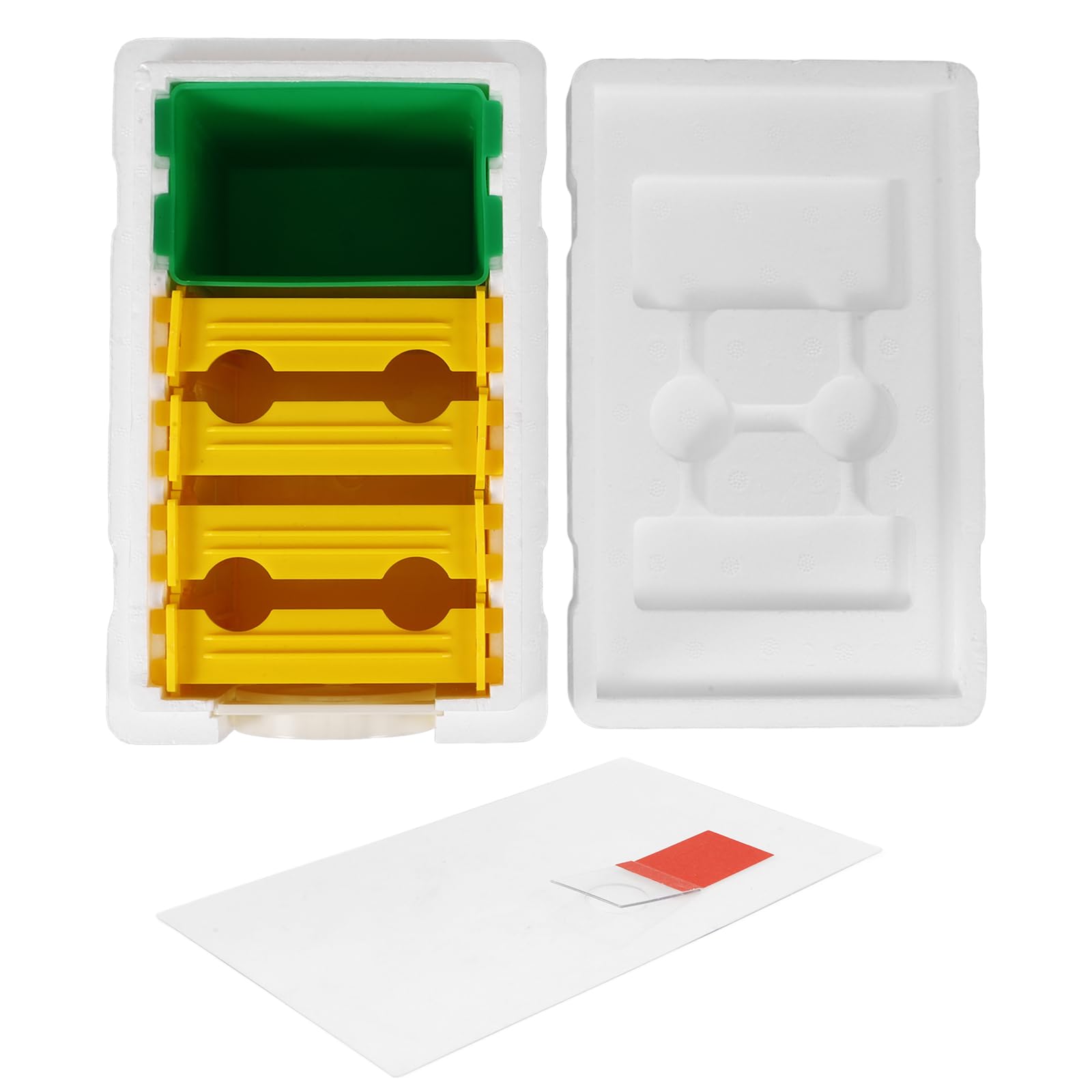 SUPVOX Scatola Per Api 4 Telai in Plastica Bianca Per Apicoltura, Kit Completo Di Alimentazione e Accoppiamento Per Alveari Da Giardino e Balcone, Attrezzatura Stabile Per Apicoltori Principianti