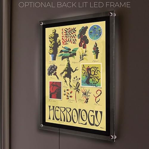 Miniatura 8 de MightyPrint Harry Potter Clase de Herbología Plantas Mágicas Arte de pared duradero de 17 x 24 NO hecho de papel Coleccionable oficialmente