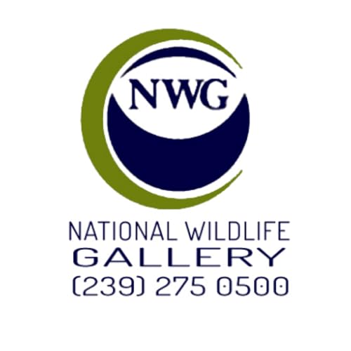 National Wildlife Gallery - //medicalbooks.filipinodoctors.org