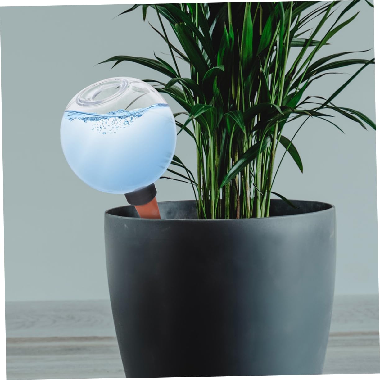 BESPORTBLE 3 Ensembles Dispositif D'arrosage Automatique Ampoules À Arrosage Automatique Globes D'arrosage des Plantes Irrigation Bouteille D'arrosage pour Plantes Céramique 2 Pièces * 3