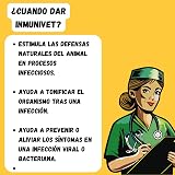 Ver la foto 3