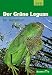 Produktbild Der Grüne Leguan im Terrarium