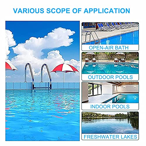 Escalera para Piscina de Acero Inoxidable con 2 Peldaños Antideslizantes miniatura 5
