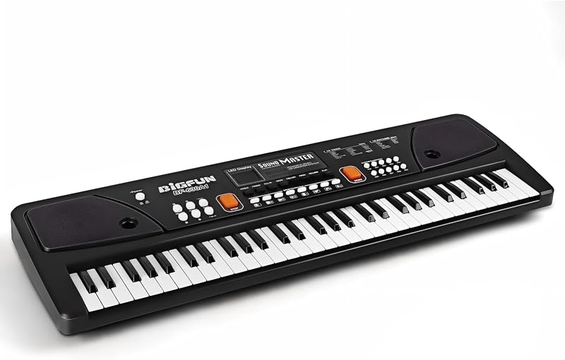 Teclado de piano de 61 teclas con micrófono, piano eléctrico, negro | Pantalla LED, 16 tonos, 10 ritmos, 8 sonidos de percusión, grabación y reproducción, alimentación por USB, regalo inicial para niños principiantes