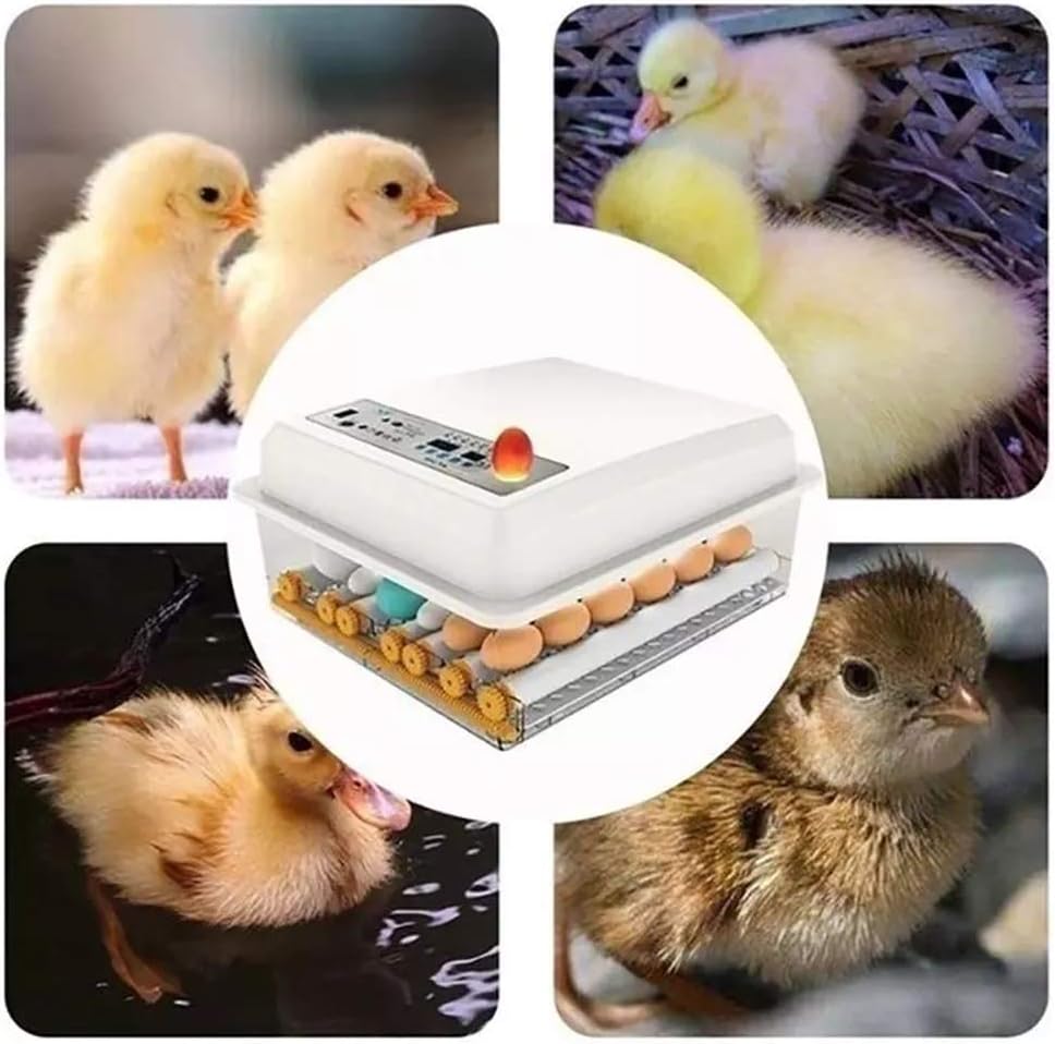 自動卵孵化器 16 卵デジタル完全温度制御家禽ハッチャー鶏ひよこアヒルガチョウウズラ鳥孵化機