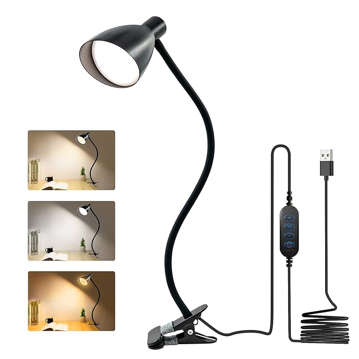 Buy LED Desk lamp with Clamp, Clip on Reading Light with Flexible Gooseneck/ Auto Off/ Timing