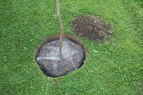 Kerbl Wühlmauskorb ø 60 cm (Höhe 70 cm, Schutzkorb gegen Wurzelverbiss, dünnes Sechskantdrahtgeflecht 0,6 mm Drahtstärke, 16 mm Maschenweite) 291172