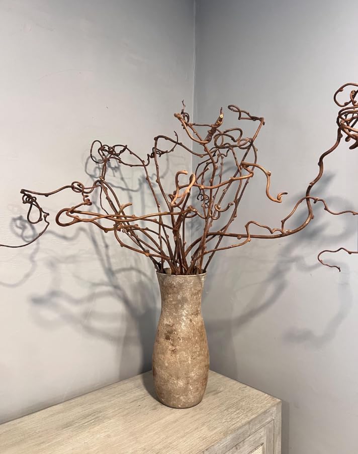 Dried Real Kiwi Vine Branches - 36" Natural Decorative Twigs for Floor Vases & Floral Arrangements - Boho Home Decor Centerpiece