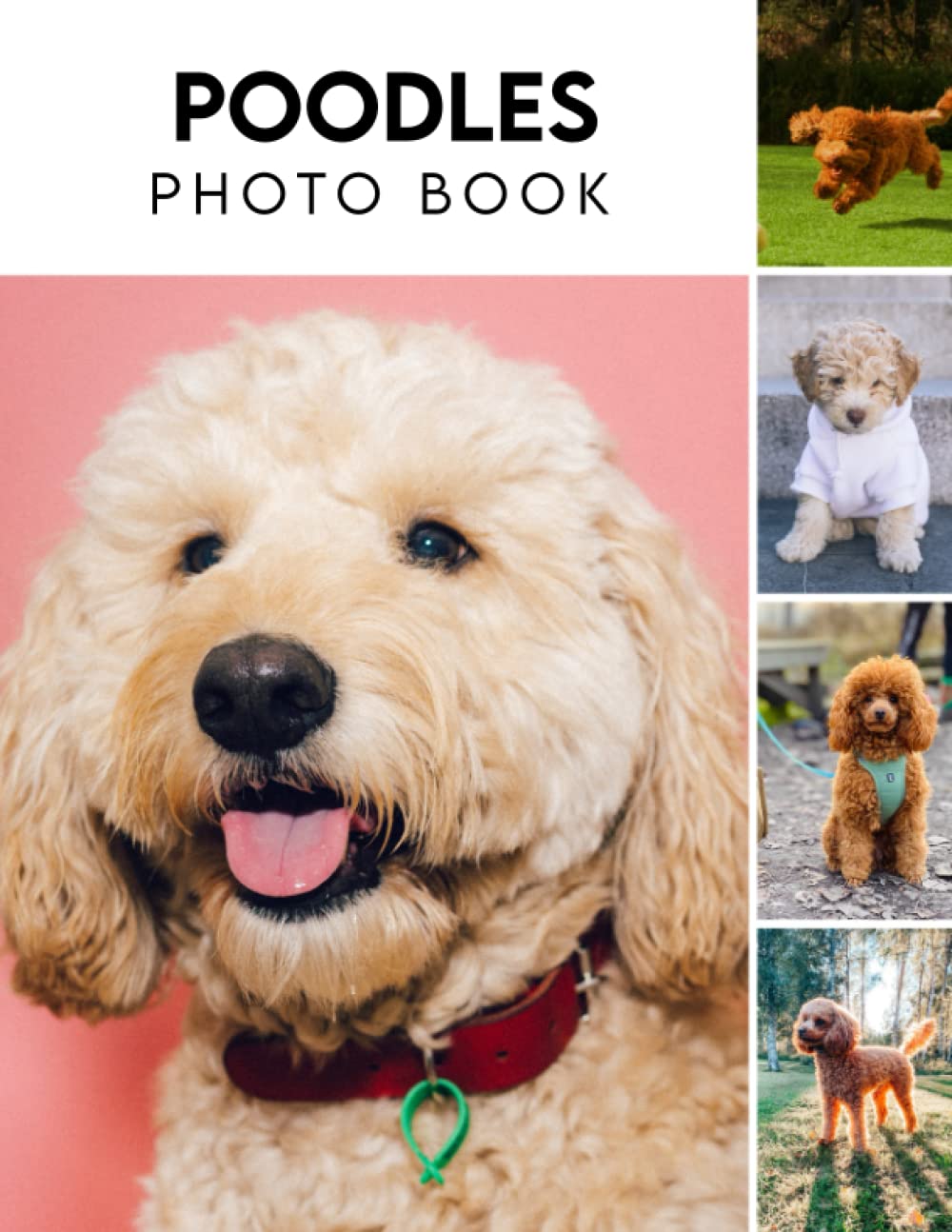 Photo Book Of Poodles: Poodles Picture Book For Photos With 30+ Pictures Photos, 2023 Photobook Photography Christmas Gifts For Men Women Mom Dad