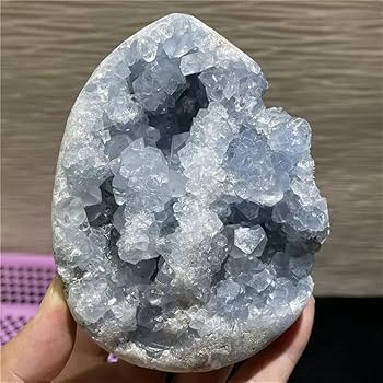 61Us08xN4fL._AC_UF350,