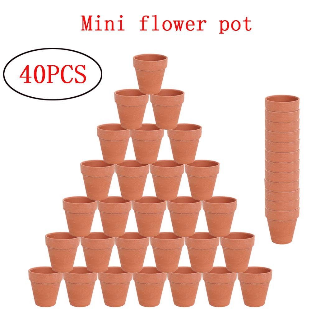 40 Small Mini Clay pots, 6.5cm Clay Pot Ceramic Pottery Seeder, Cactus Flower Terracotta pots, Juicy Nursery pots, with Drainage Holes, Indoor/Outdoor Plants, Crafts