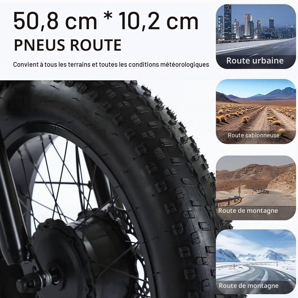 Tricycle électrique pour Adultes - Charge 200Kg, Vélo Cargo électrique à Pneus Larges 20'', Batterie Amovible 48 V/12 Ah - Autonomie 35 Km, pour Les Trajets Domicile-Travail